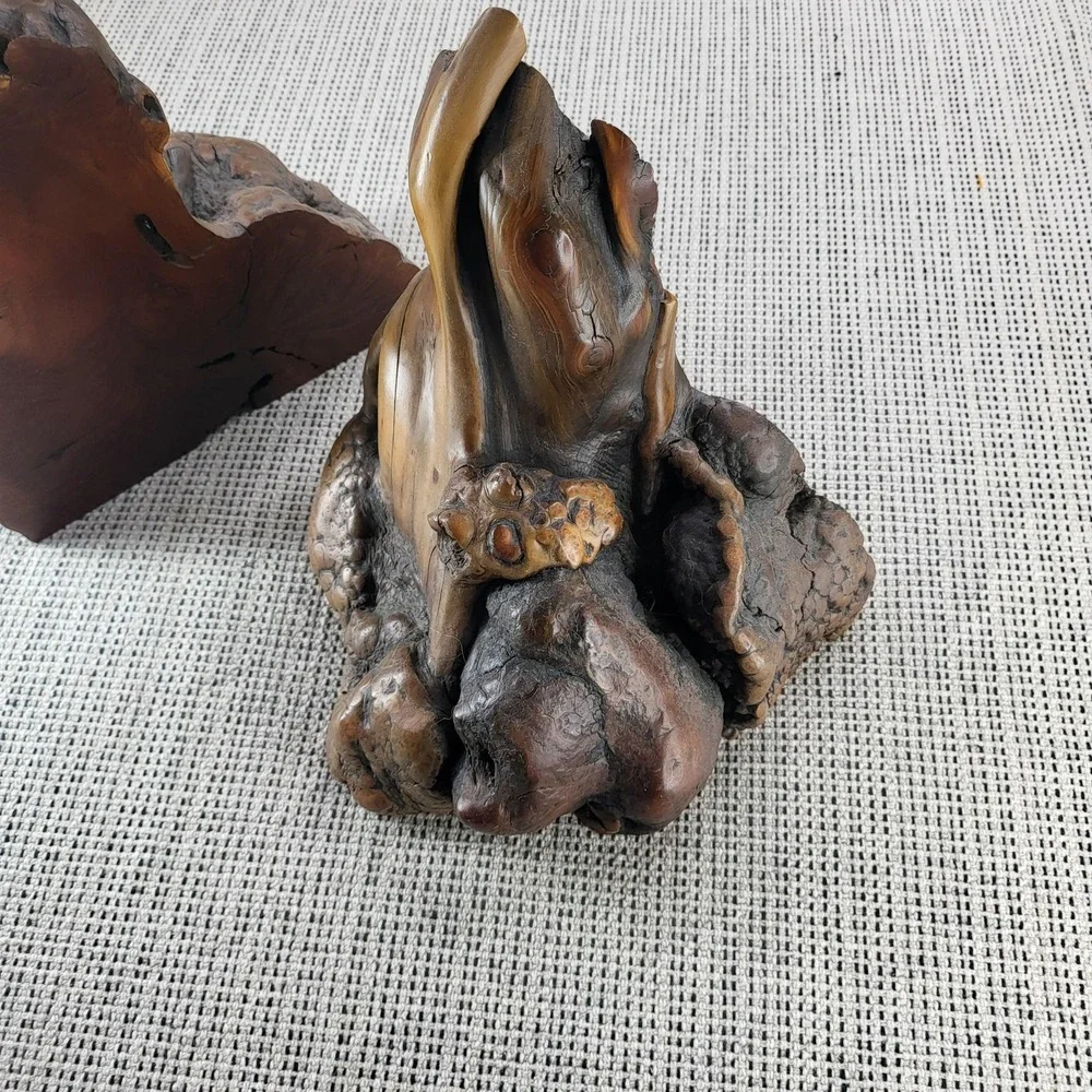 Rustic Natural Wood Burl Root‎ Bookends Pair Brown Organic Primitive Decor